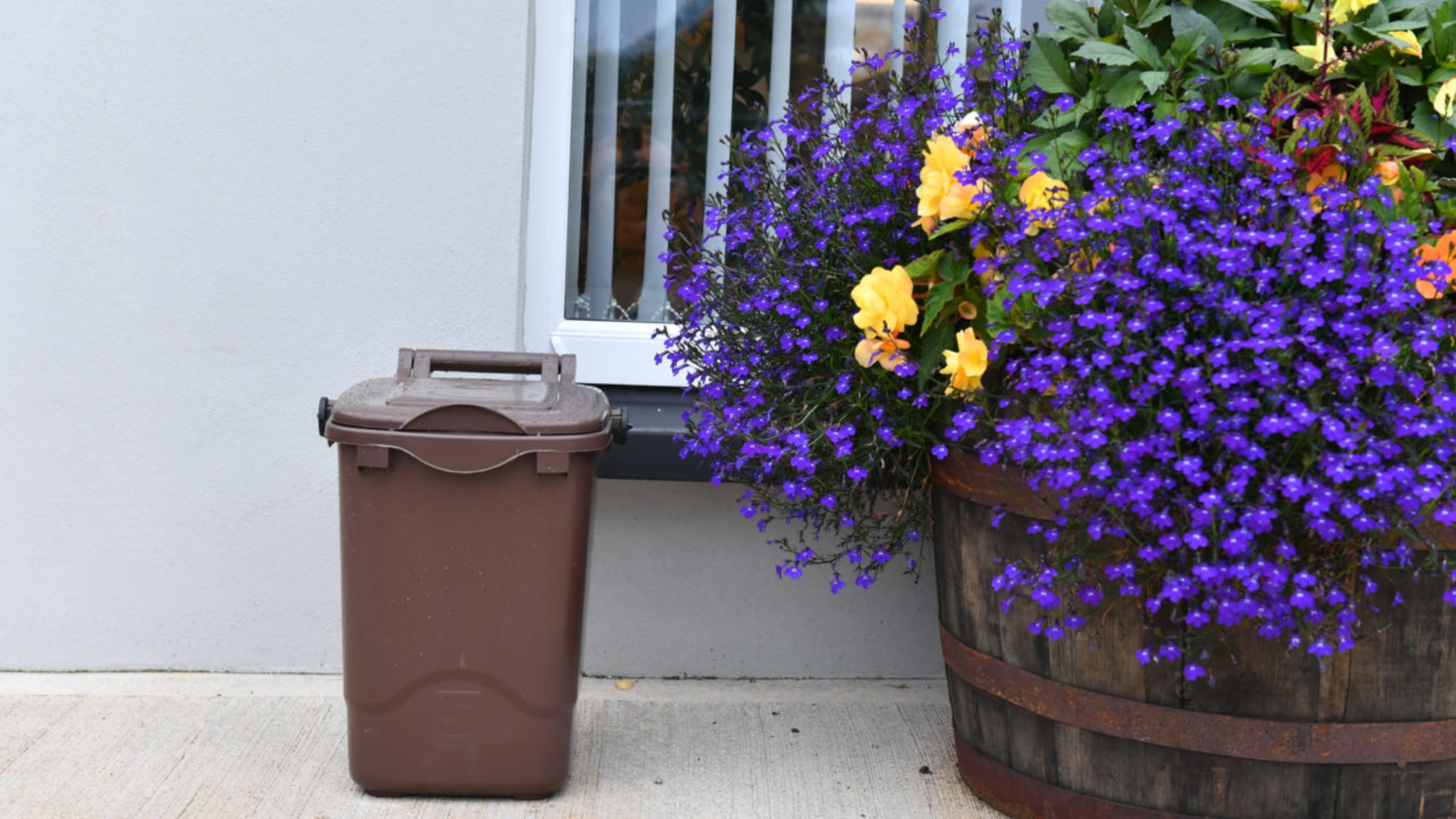 Brown food waste caddy and wheelie bin Fermanagh & Omagh District Council