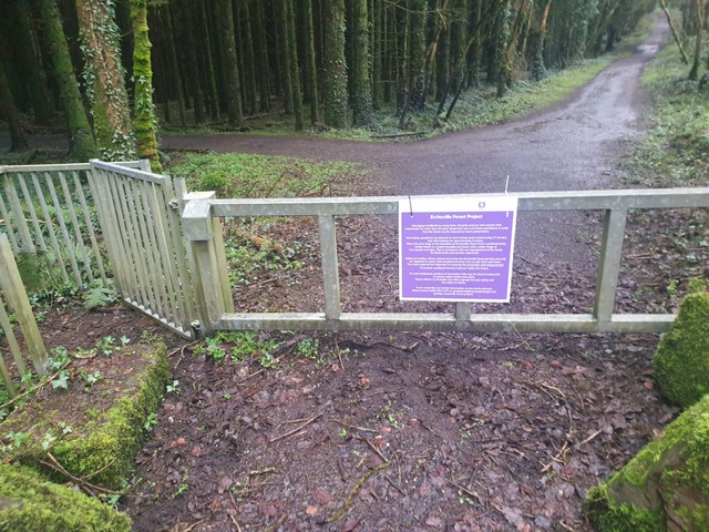 Ecclesville Forest Park Works (January 2022) (3)