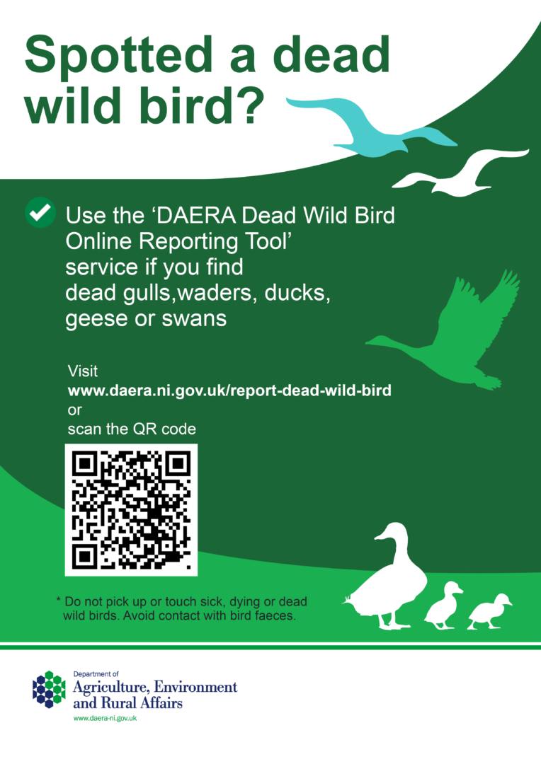 Report Dead Wild Bird Poster (1)