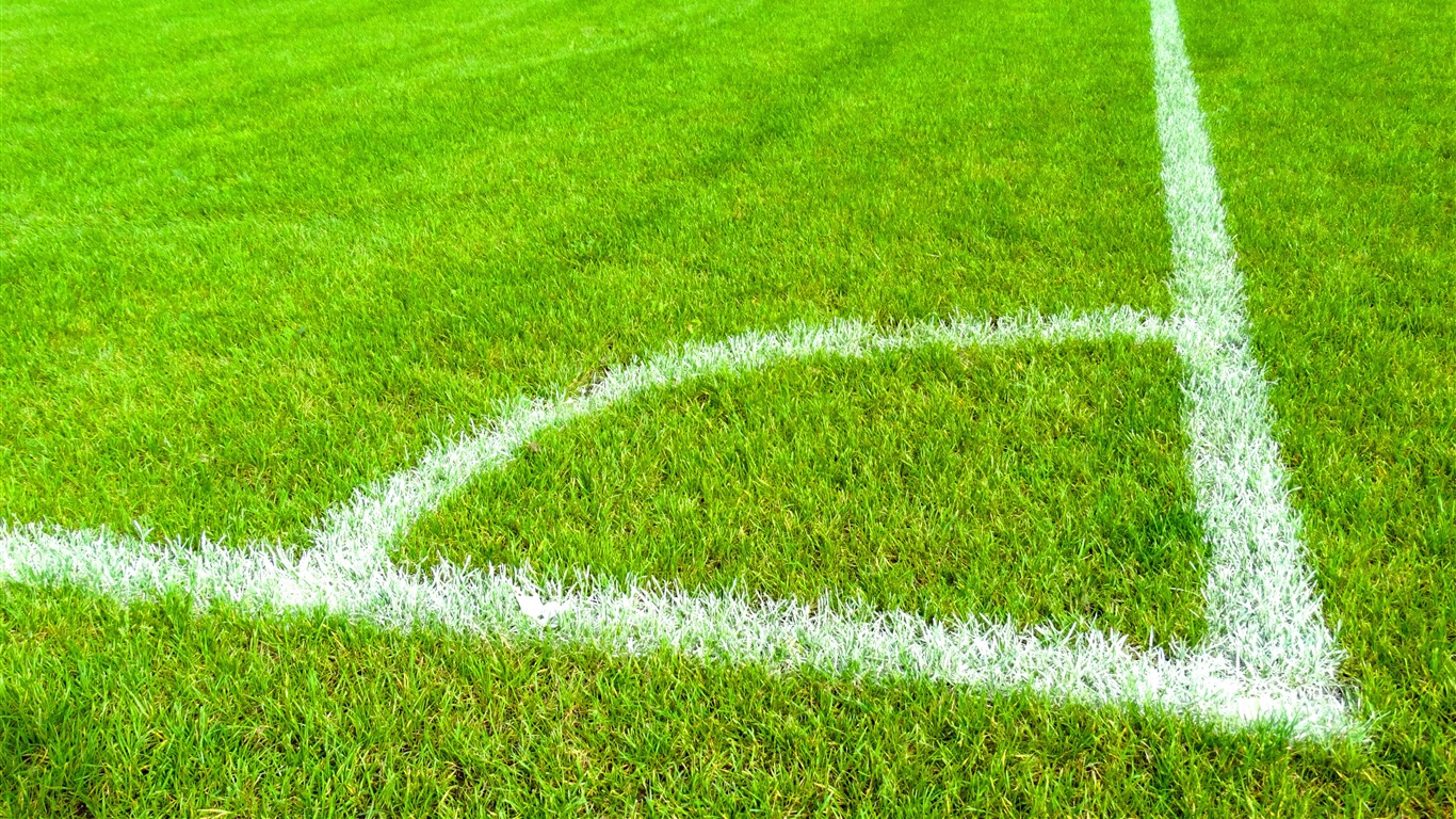 Soccer pitch green grass lines 1366x768