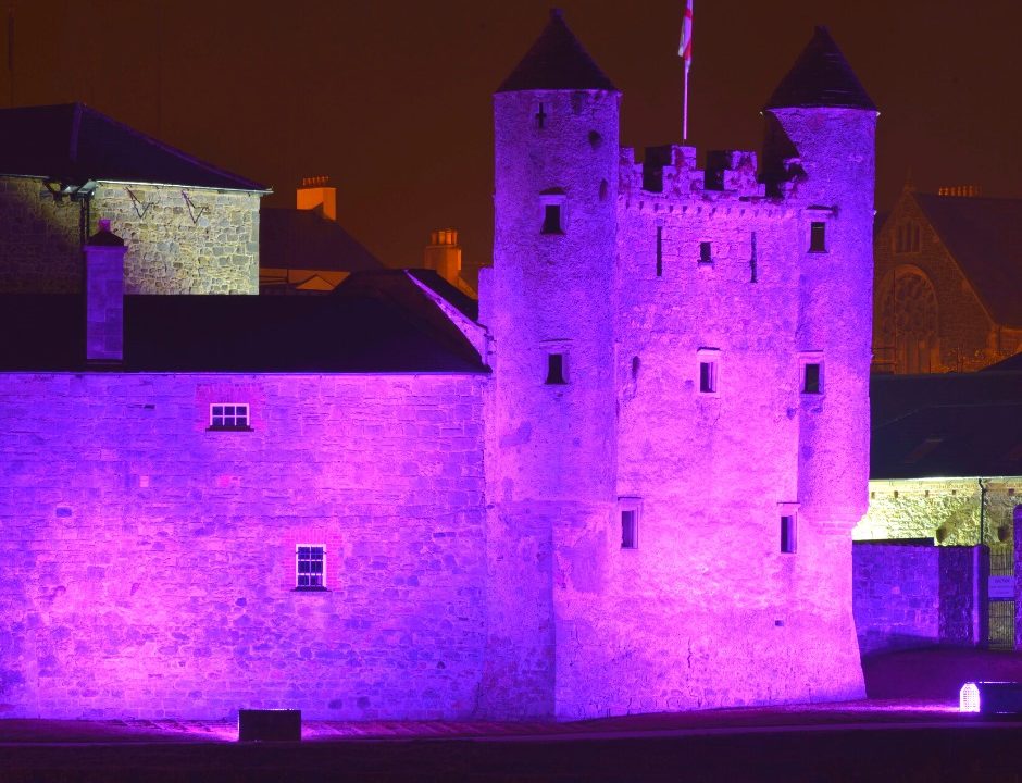 Enniskillen Castle Purple