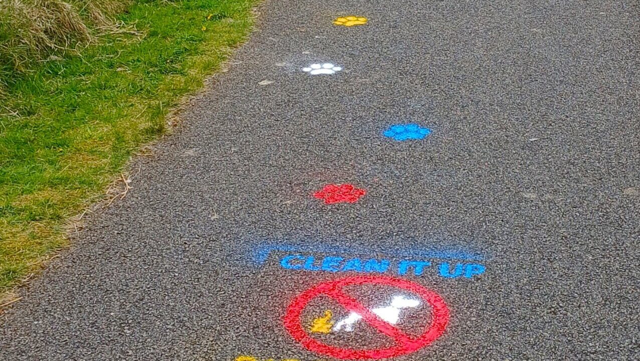 Clean it up   bag it   bin it 2