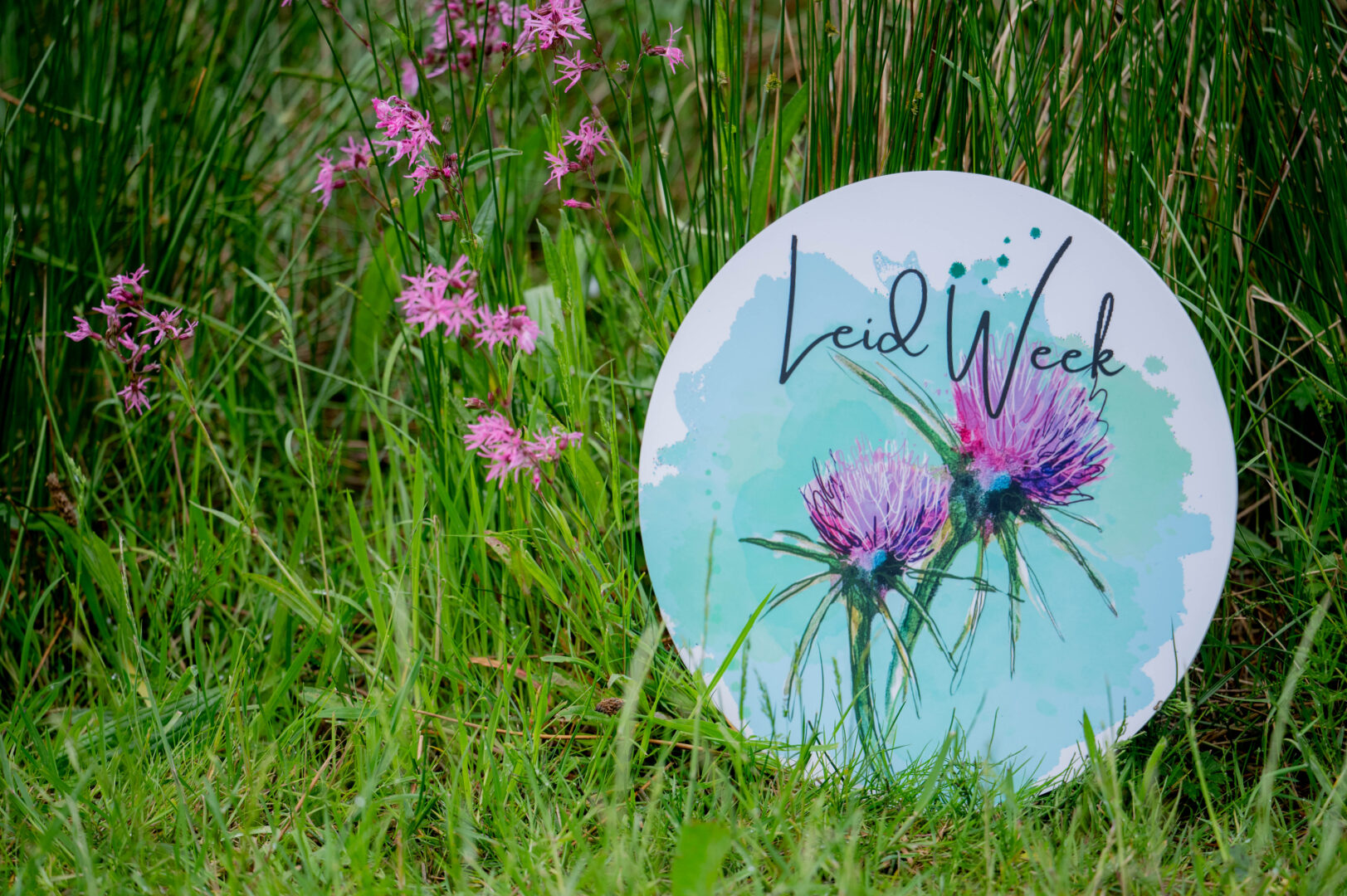 IRISHLANGCULTURE 1435