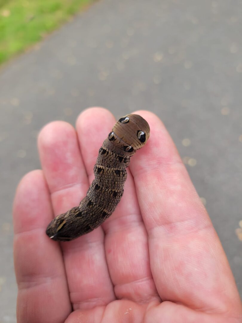 IMG 20250825 WA0024 (1)