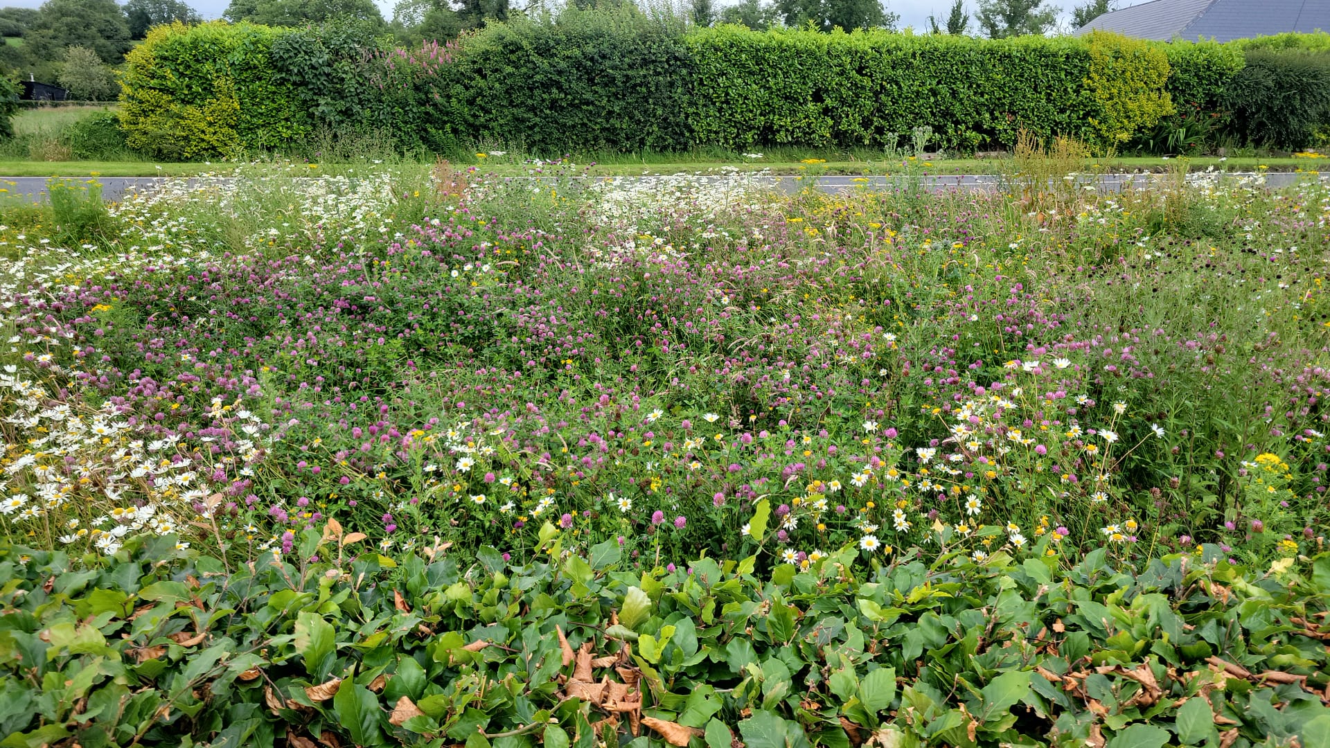 IMG 20250825 WA0028 (1)