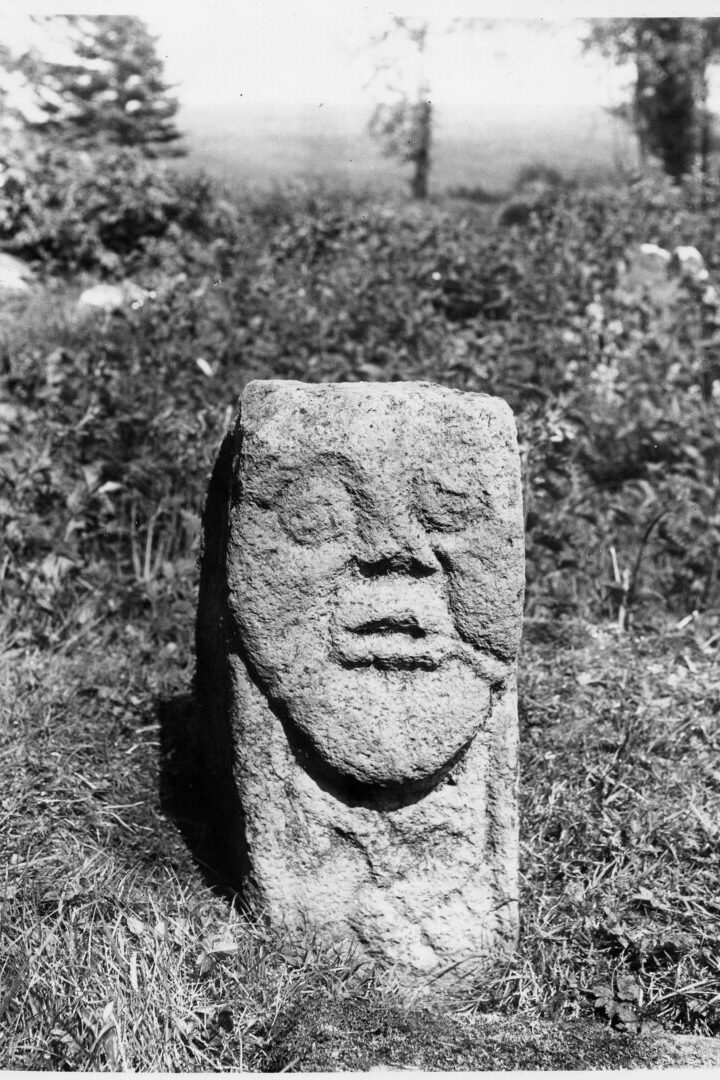 M07418 Bishop's Stone, Killadeas