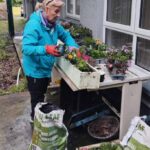 Members of Dromore 2000 Community Group and the local Men's Shed pictured creating window boxes for businesses throughout the town using timber supplied through the PEACEPLUS Environment for All Programme. Fermanagh and Omagh District Council also provided bedding plants for the initiative, with both groups working together to enhance the local environment and promote community pride in Dromore.